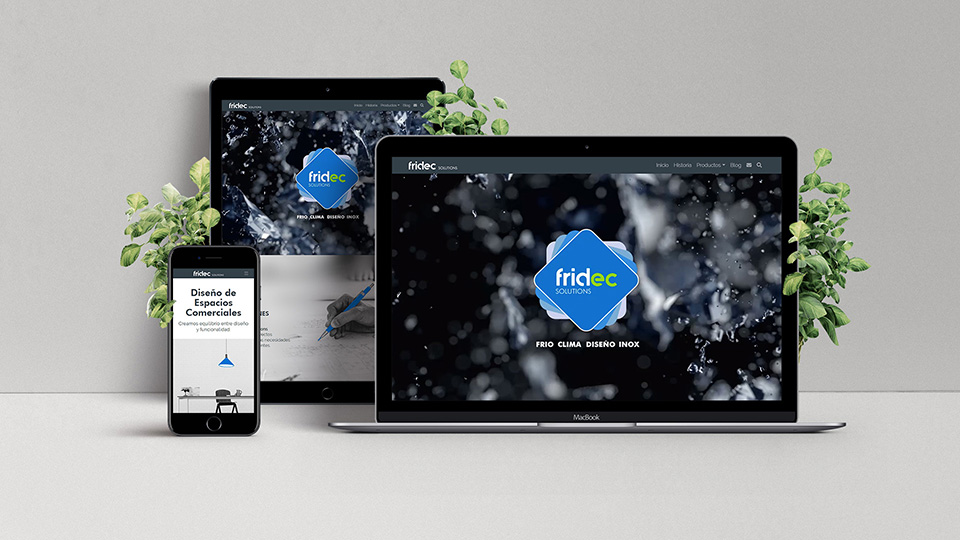 Web Fridec Solutions